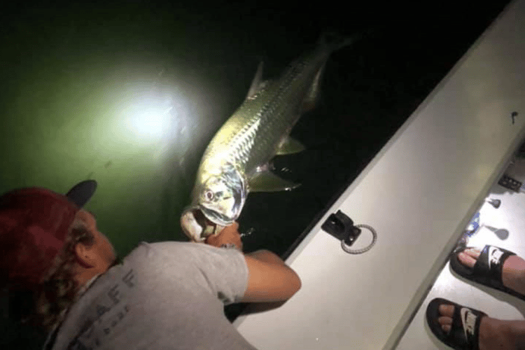 Nighttime Tarpon - 18’ Xplor In Key West