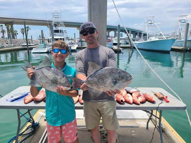 Bottom Fishing Frenzy In Orange Beach