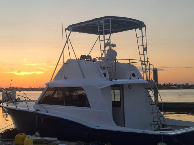 12 Hour Deep Sea - 36' Hatteras in Orange Beach