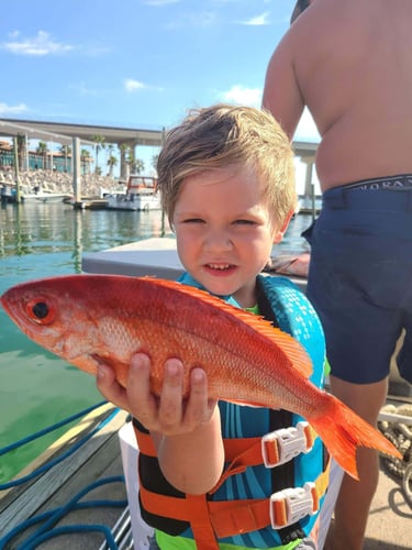 10 Hour Offshore - 36' Hatteras In Orange Beach