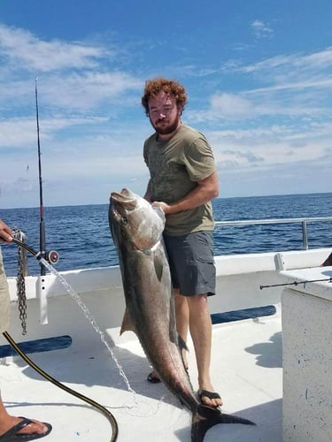 Bottom Fishing Frenzy In Orange Beach