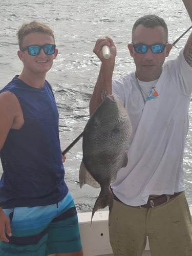 Bottom Fishing Frenzy In Orange Beach