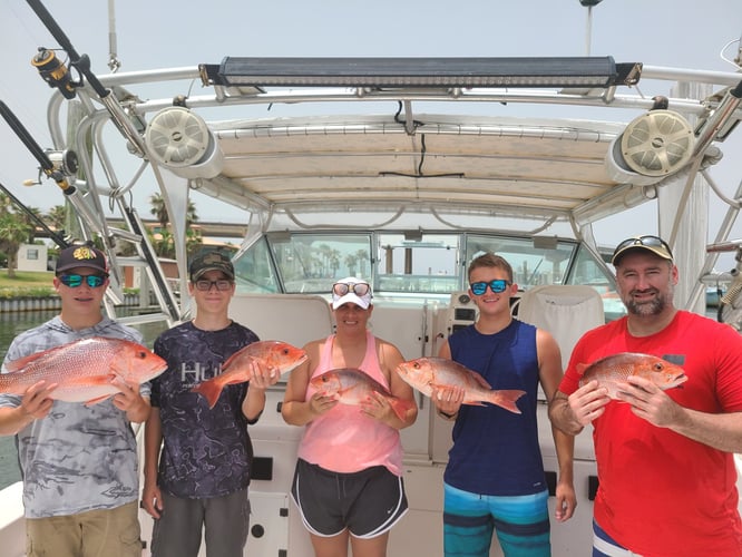 Bottom Fishing Frenzy In Orange Beach