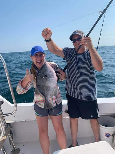 Bottom Fishing Frenzy In Orange Beach