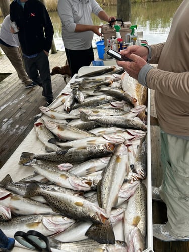 Lake Ponchartrain Lunkers In Slidell