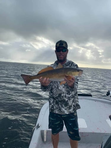 Epic Inshore Fishing In Port Aransas