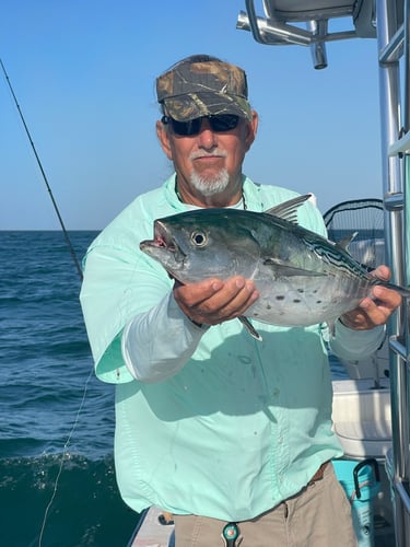 Nearshore Trip with Captain Phil in Naples