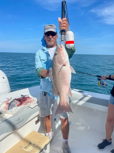 Nearshore Trip With Captain Phil In Naples