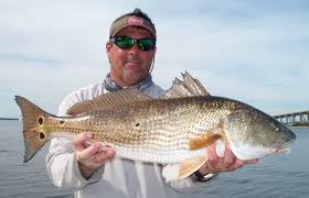 Inshore/backwater light tackle trip in Jacksonville