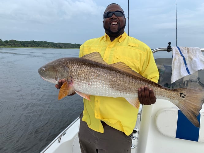 Inshore / Backwater Light Tackle In Jacksonville