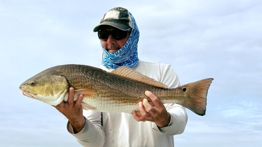 Inshore/backwater light tackle trip in Jacksonville