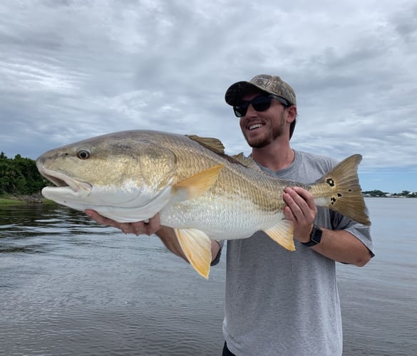 Inshore/backwater light tackle trip in Jacksonville