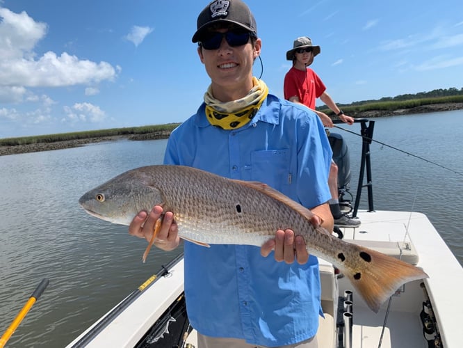 Inshore/backwater light tackle trip in Jacksonville