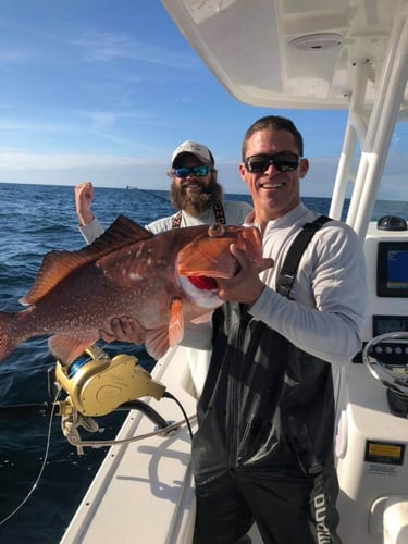 Half Day Offshore - 28' Dusky In Pensacola