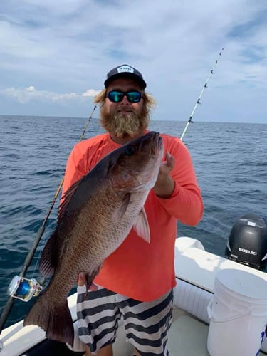 Half Day Offshore - 28' Dusky In Pensacola