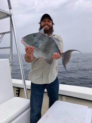 Half Day Offshore - 28' Dusky In Pensacola