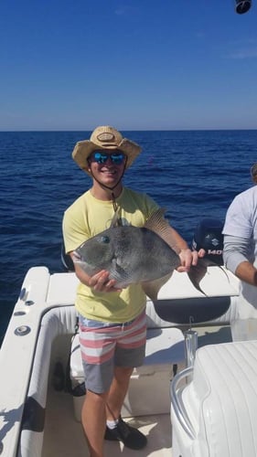 Half Day Offshore - 28' Dusky In Pensacola