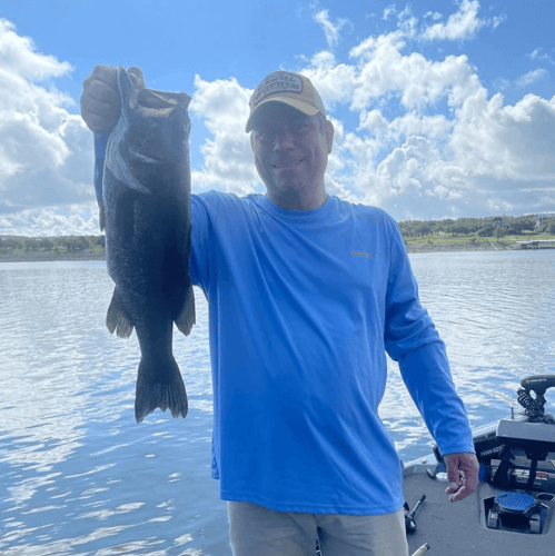 Lake Travis Bass Fishing In Lago Vista