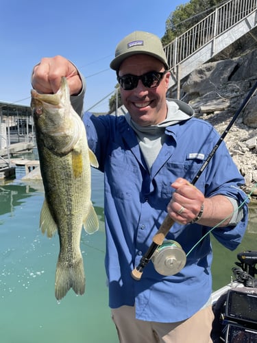 Lake Travis Bass Fishing In Lago Vista