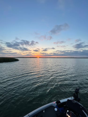 Lake Travis Bass Fishing In Lago Vista