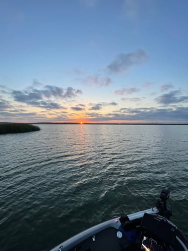 Lake Travis Bass Fishing In Lago Vista