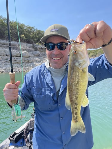 Lake Travis Bass Fishing In Lago Vista