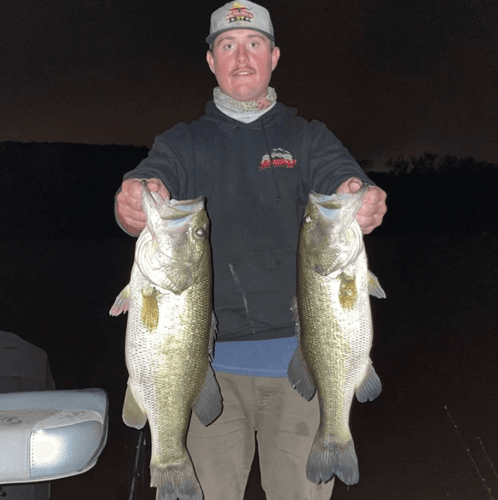 Lake Travis Bass Fishing In Lago Vista