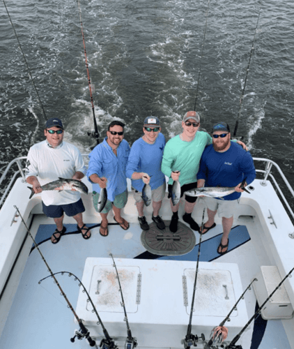 Riptide 8hr Deep Sea Bottom Fishing And Trolling In Orange Beach