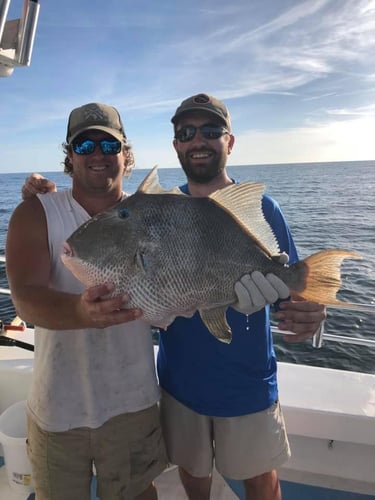 Riptide 8hr Deep Sea Bottom Fishing And Trolling In Orange Beach