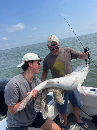 Sharks/Redfish In Charleston Harbor In Mount Pleasant