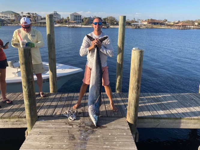 4 Hour Trolling - 42' Custom in Orange Beach