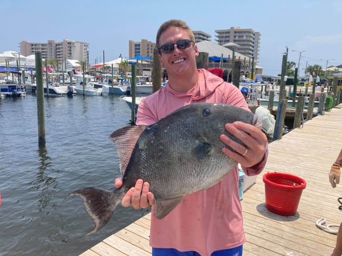 Bottomfishing & Trolling Combo in Orange Beach