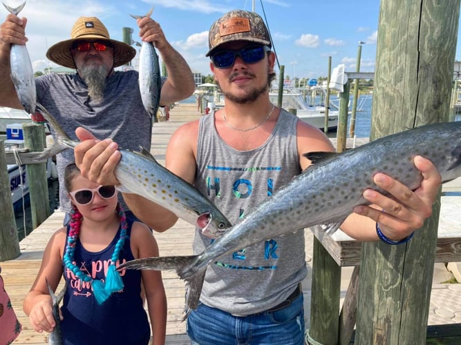 4 Hour Trolling - 42' Custom in Orange Beach