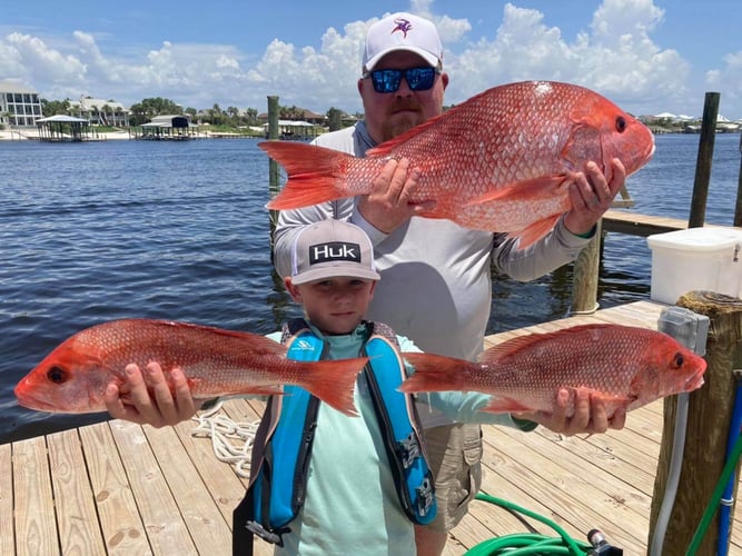 4 Hour Trolling - 42' Custom in Orange Beach