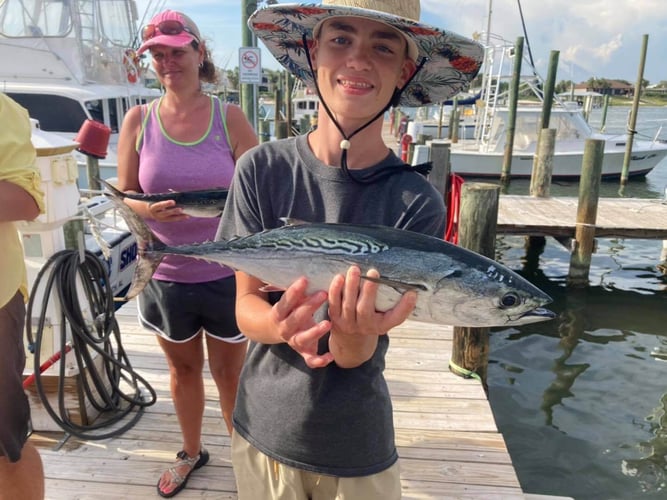 4 Hour Trolling - 42' Custom in Orange Beach