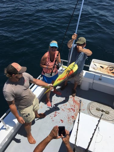 Bottomfishing & Trolling Combo in Orange Beach