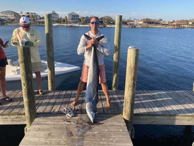 Bottomfishing & Trolling Combo in Orange Beach