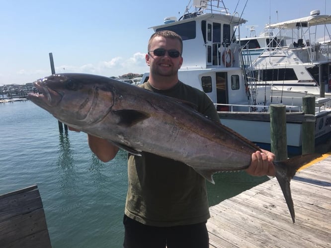 Bottomfishing & Trolling Combo in Orange Beach