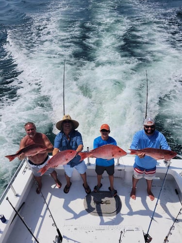 4 Hour Trolling - 42' Custom in Orange Beach