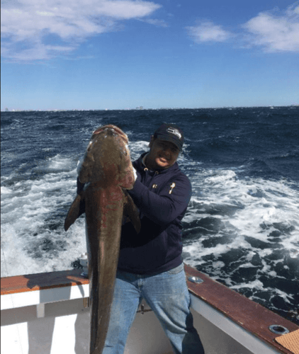 4 Hour Trolling - 38' Custom in Orange Beach