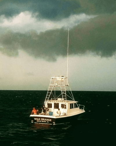 4 Hour Trolling - 38' Custom in Orange Beach