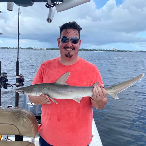 Shark Fishing - 22' Tidewater In Panama City