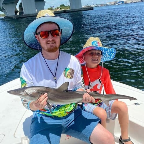 Shark Fishing - 22' Tidewater In Panama City