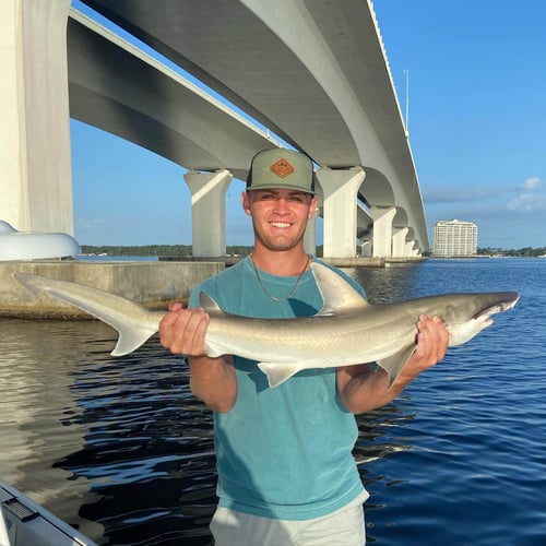 Shark Fishing - 22' Tidewater In Panama City