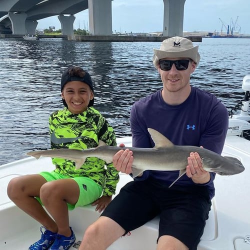 Shark Fishing - 22' Tidewater In Panama City