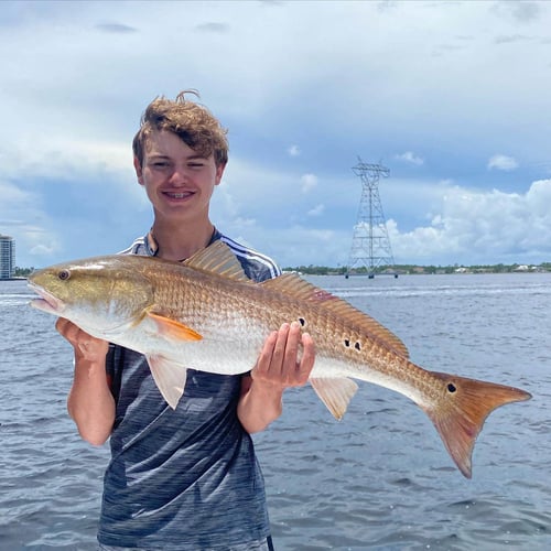 Intense Inshore Action! In Panama City