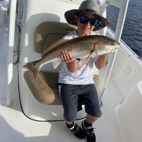 Inshore Trip - 22' Tidewater in Panama City