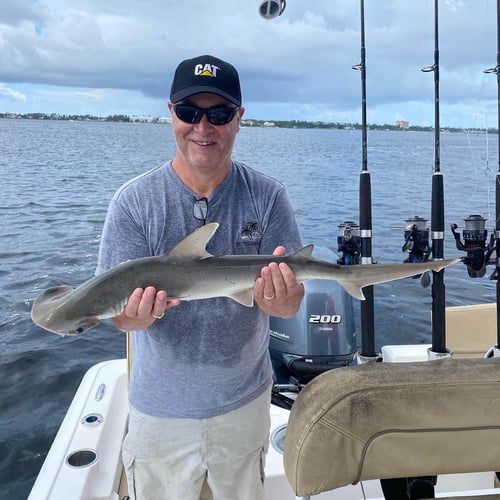 Shark Fishing - 22' Tidewater In Panama City