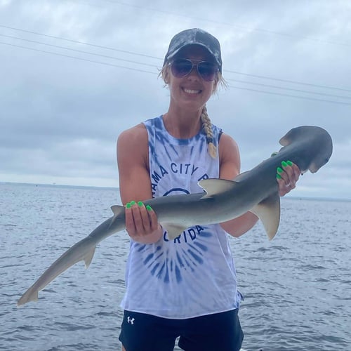 Shark Fishing - 22' Tidewater In Panama City