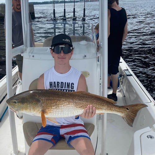 Intense Inshore Action! In Panama City